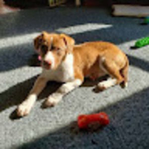 Meet your Posher, Joann